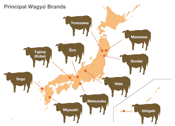 Japan Regions Map